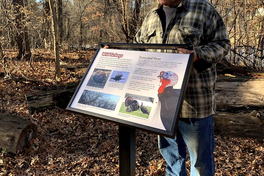 Overlaminate film for signs